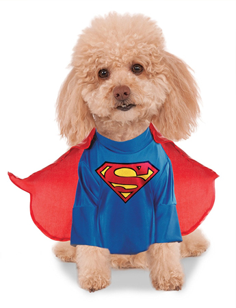 super dog outfit